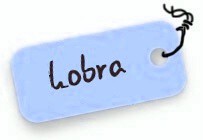 Lekce 10